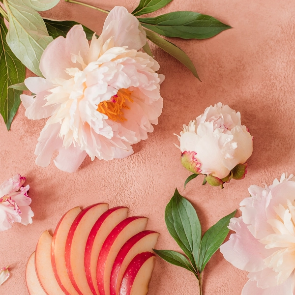 Blush Peony Suede scent notes composition — Peony, red apple, soft suede