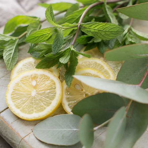 Just Breathe scent notes composition — Eucalyptus, soft mint, cool air