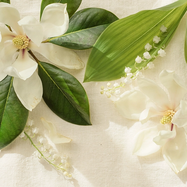 Silky Petals scent notes composition — Green leaf, magnolia, lily of the valley