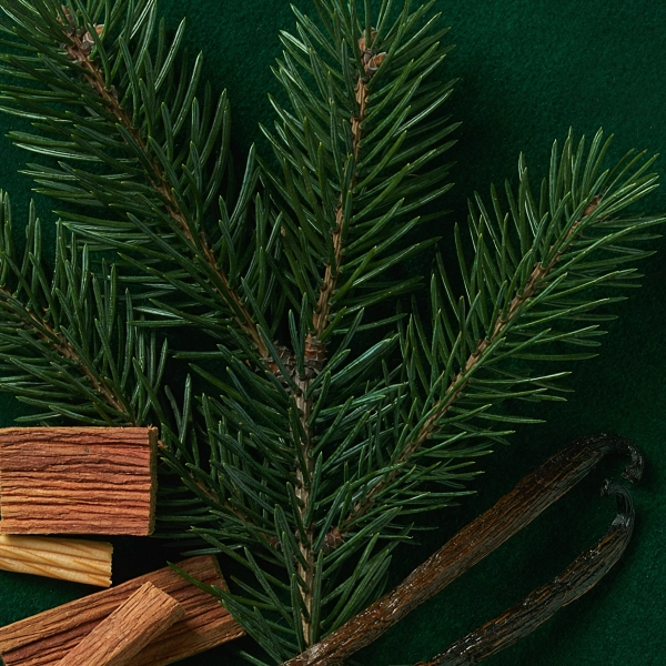 Velvet Evergreen scent notes composition — Pine, fir, quiet cedar finish