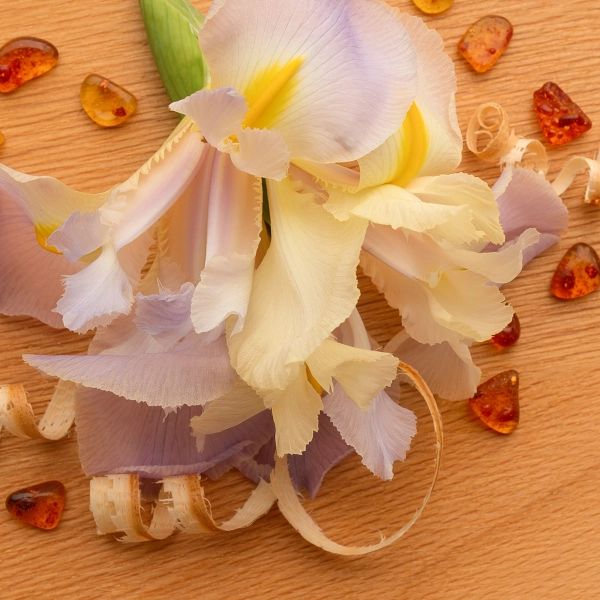 White Ember scent notes composition — Soft smoke, warm vanilla, cedar